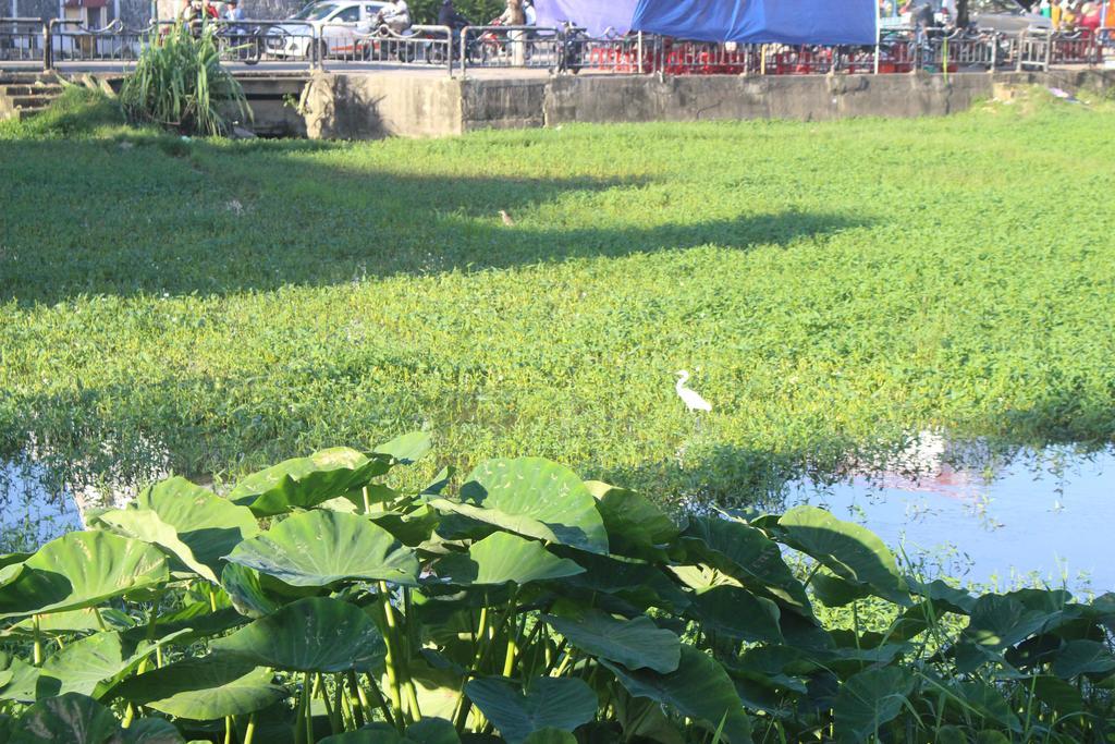 Hoi An Green View Homestay & Villa Luaran gambar