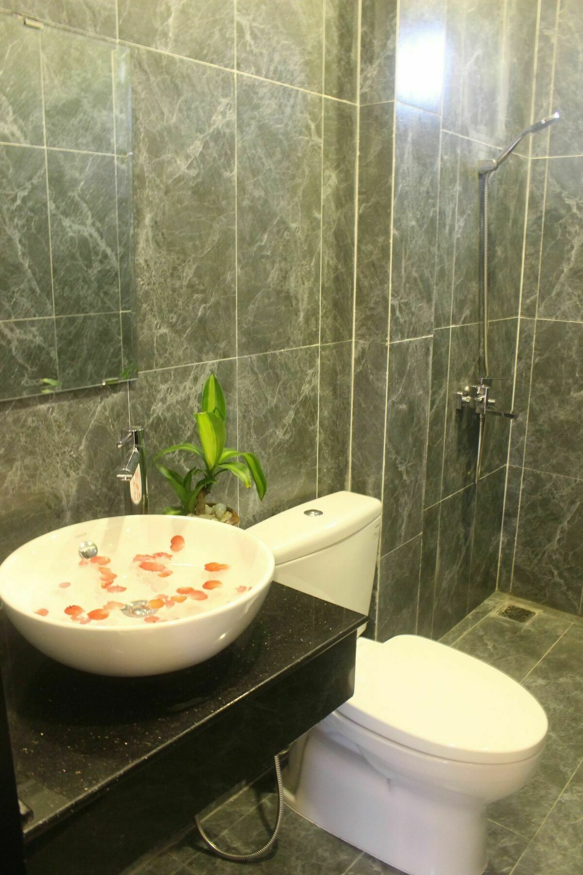 Hoi An Green View Homestay & Villa Luaran gambar