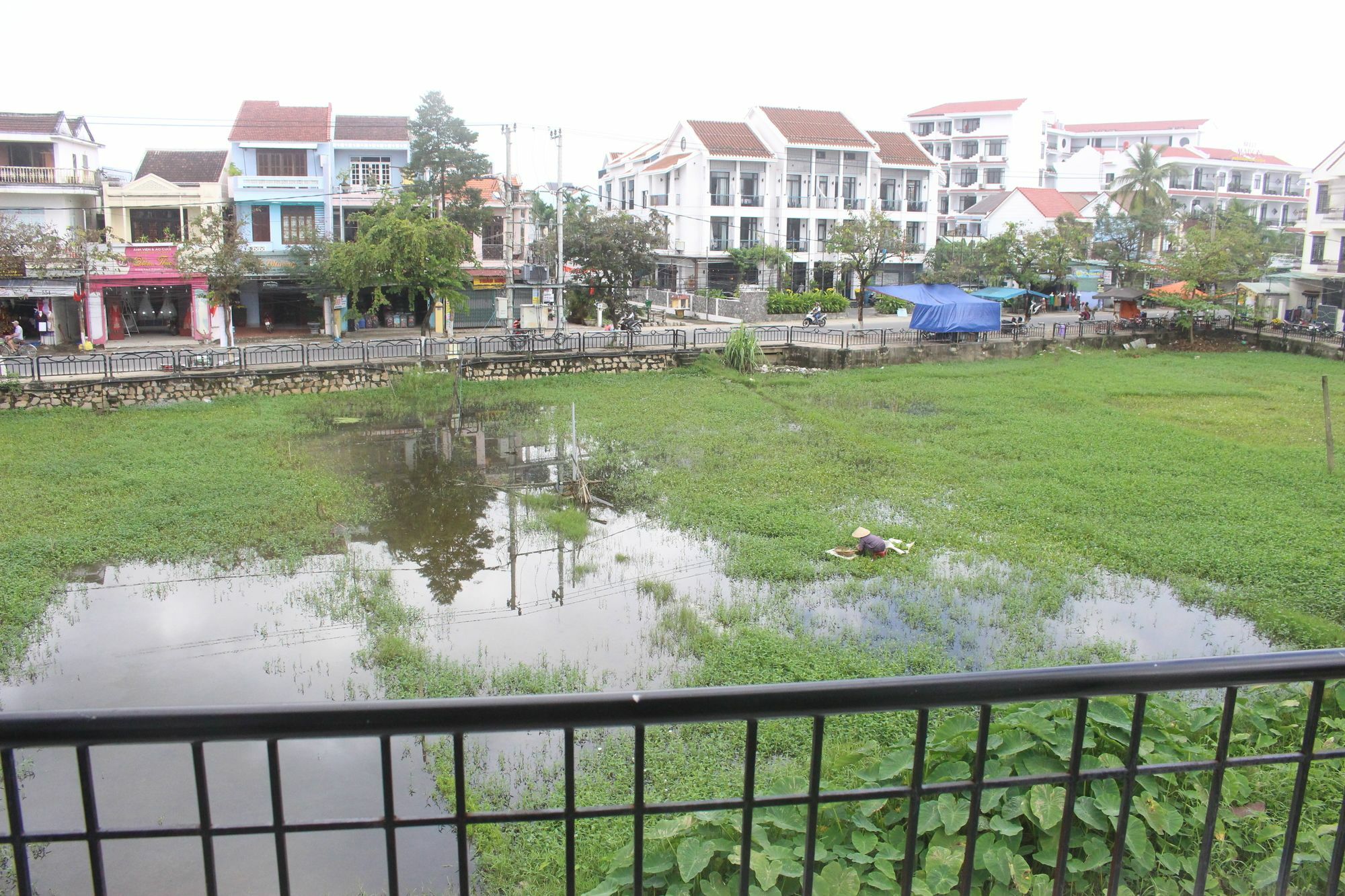 Hoi An Green View Homestay & Villa Luaran gambar